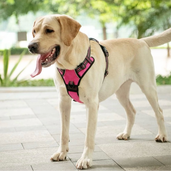 PoyPet Adjustable Reflective Dog Harness – Size Medium, Pink - Picture 5 of 16
